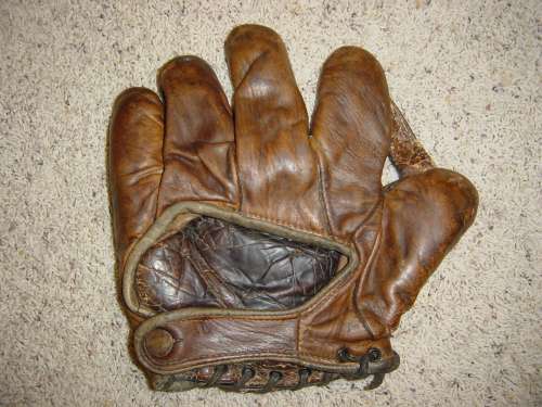 Essex Brand 144 1 Inch Web Back